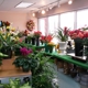 Clemmons Florist Inc