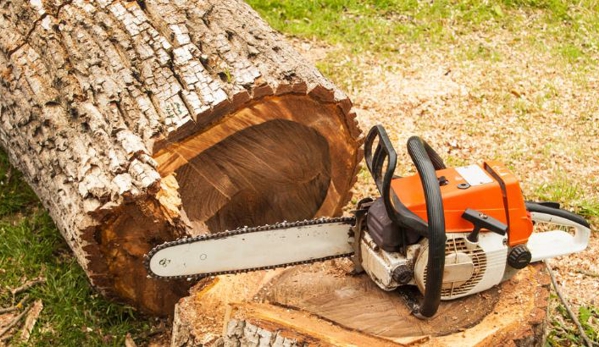 A1 Tree Service - Peoria, IL