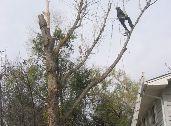 3 D Tree Care - Longmont, CO