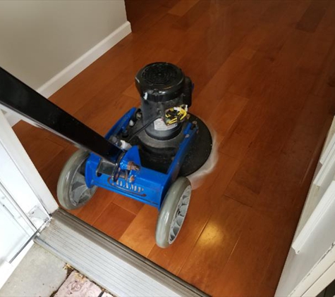 Gem's Carpet Cleaning Plus, L.L.C. - Pontiac, IL