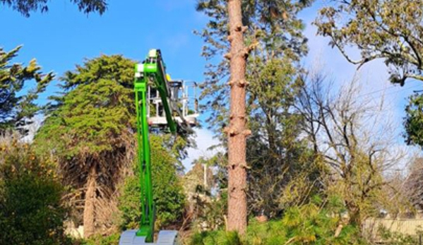 Phil's Tree Service - Cootamundra, NSW