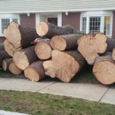 Northshore Tree Services Inc. - Arborists