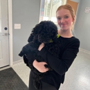 Country Pup Kennel - Dog Training