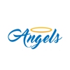 Angels Air Home Services gallery