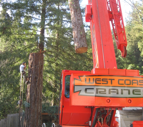 Martin's Tree Works - ben lomond, CA