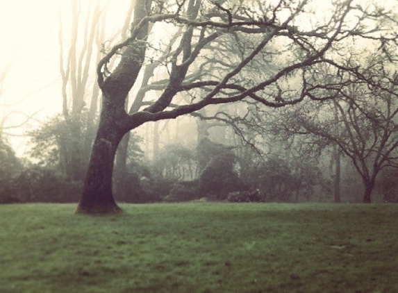 Hendricks Park - Eugene, OR