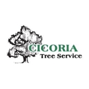 Cicoria Tree and Crane Service Groveland - Arborists