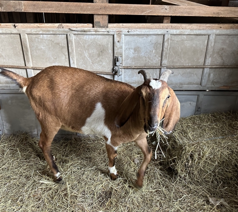 Mahin Agro Farm - Bainbridge, NY