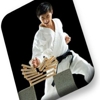 Clemmons Family Martial Arts gallery