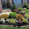BSM Landscaping and Tree Service gallery