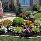 BSM Landscaping and Tree Service