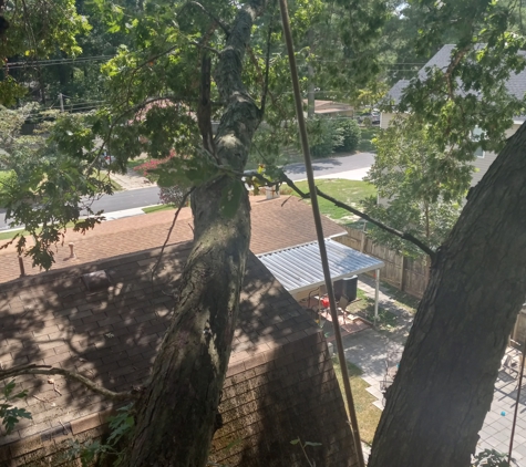 Southside Tree Service - Chesapeake, VA