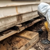 Neal Pest Control gallery