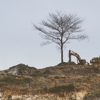 Richardson Excavating gallery