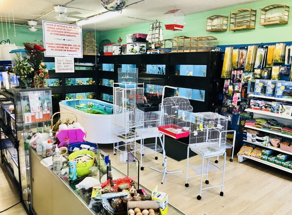 Neighborhood Pet Shop - Hialeah, FL