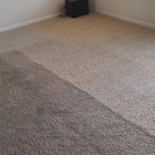 Discover Carpet cleaning