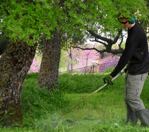 Brush-B-Gone - El Dorado Hills, CA