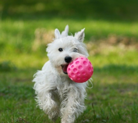 Boise Kennels - Boise, ID