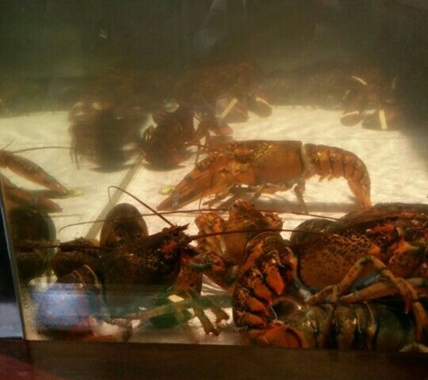Red Lobster - Novi, MI