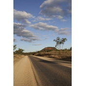 Gallery Image Number 4