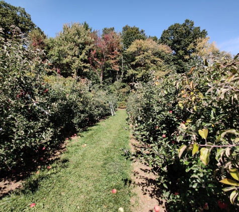 Bowman Orchards - Rexford, NY