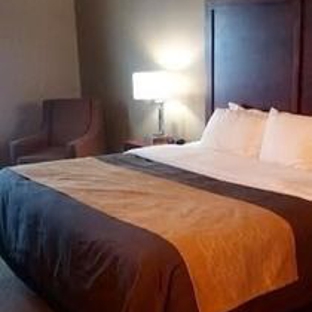 Comfort Inn-salem - Salem, IL