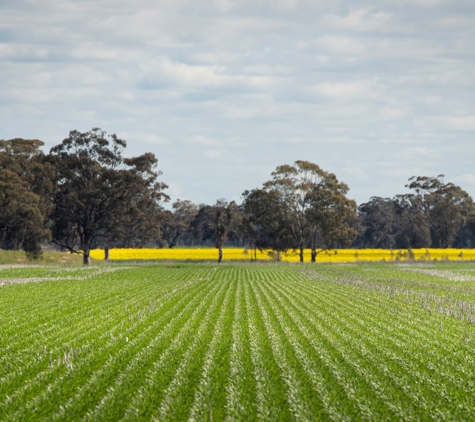 Wimmera CMA - Horsham, VIC