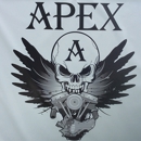 Apex Custom Cycles & Repair - Motorcycle Dealers