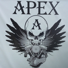 Apex Custom Cycles & Repair