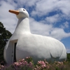 Big Duck gallery