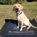 All Dogs Unleashed Dog Training Denver - Dog Training
