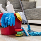 Cleaning SA - Services