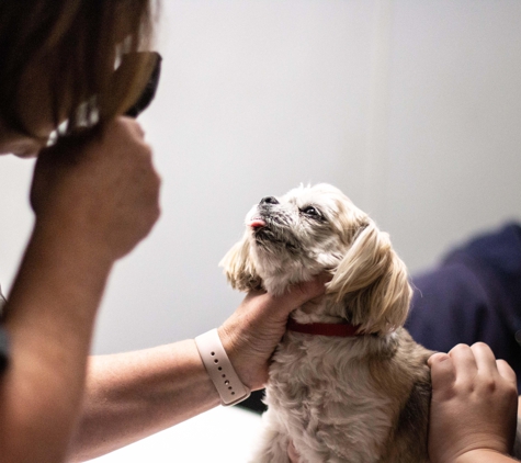 TotalBond Veterinary Hospital at Bethel - Lake Wylie, SC