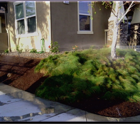 Villafana Landscape Construction - Oxnard, CA