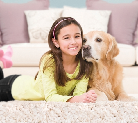 Quick Dry Chem Dry Carpet Cleaning - Langwarrin, VIC