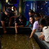Children's Aquarium Dallas at Fair Park gallery