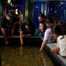 Children's Aquarium Dallas at Fair Park - Public Aquariums