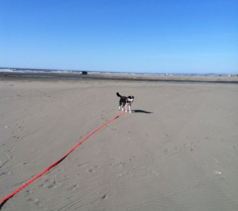 Ocean City State Park - Hoquiam, WA