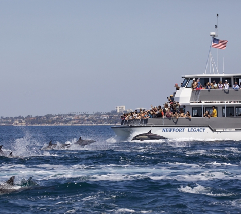 Newport Landing - Newport Beach, CA