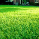 Preston Lawn Care - Landscaping & Lawn Services