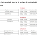 Kim's Ata Taekwondo - Martial Arts Instruction