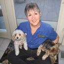 The Dog Lady - Bark Busters - Reno - Dog Training