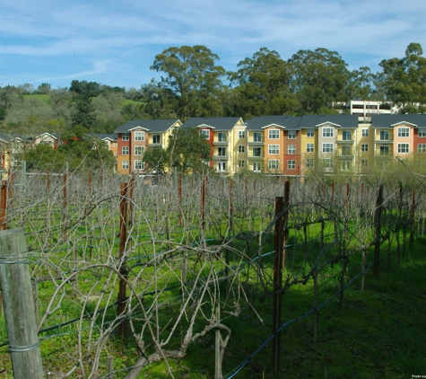 The Meadows At Fountaingrove - Santa Rosa, CA