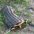 Schroeder-Manatee Ranch Inc - Ranches
