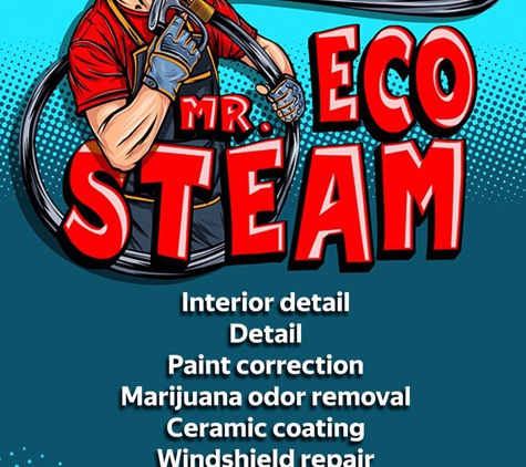 Mr Eco Steam