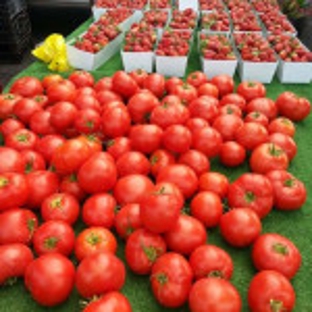 Rancho Santa Fe Farmers Market - Rancho Santa Fe, CA