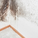 Green Home Solutions of Greater Morris County (NJ)