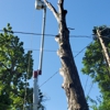 N & N Tree Service gallery