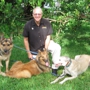 Bark Busters Home Dog Training