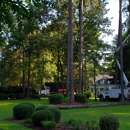 Cannon Tree And Lawn Service - Tree Service